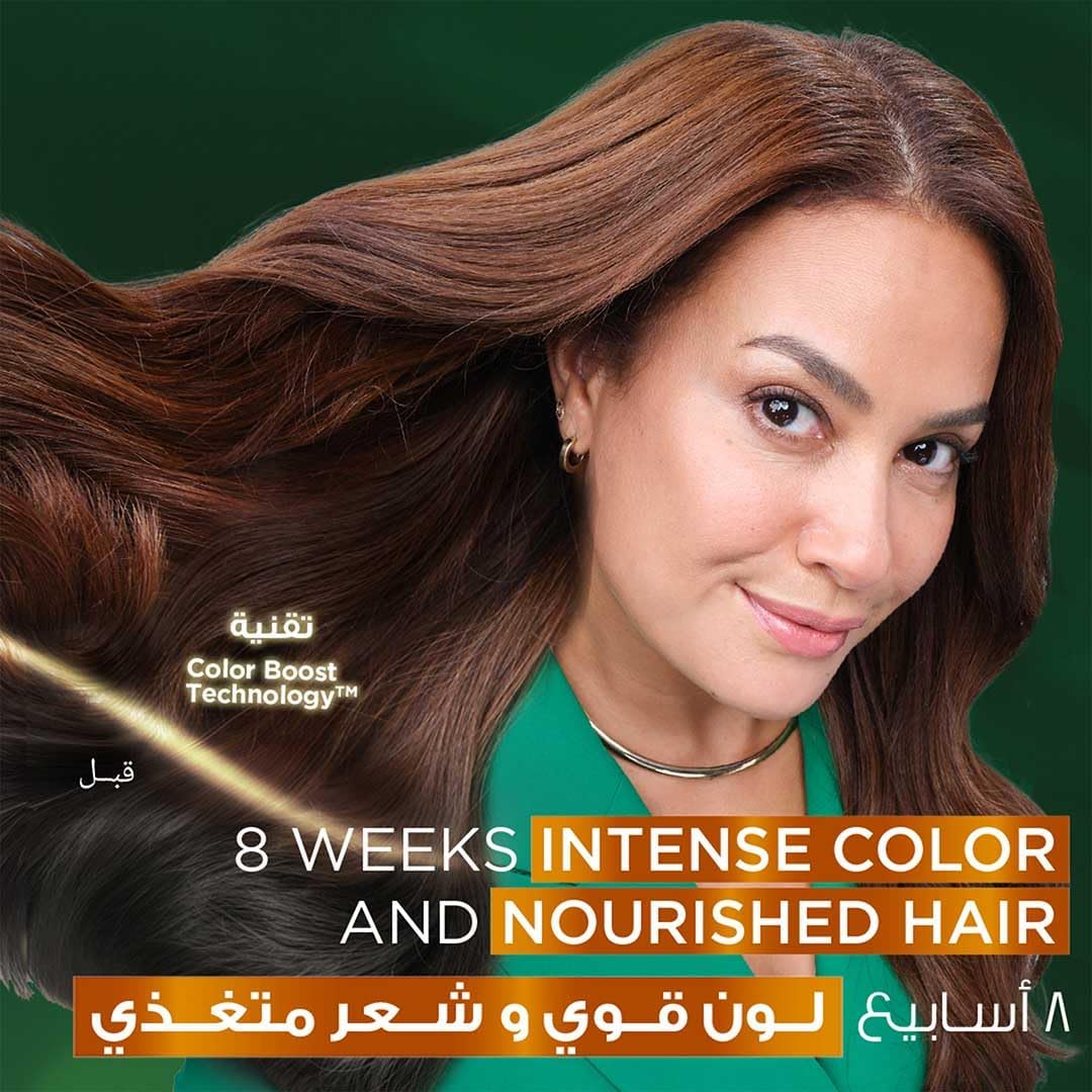 GARNIER - HAIR COLOR - Naturals Creme - 3 DARK BROWN - Chantain Fonce - 110ml (Imported)