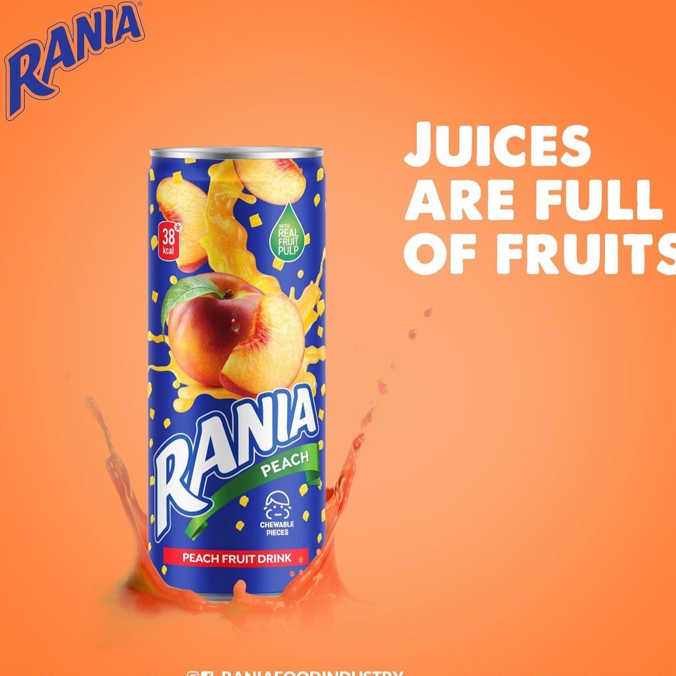 Rania Float Fruit - Pakistani - 240 ML (Pack of 24) - Peach Flavor