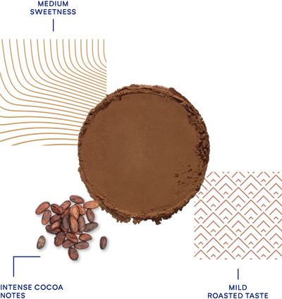 deZaan - M558V - Dutched Cocoa Powder – 10–12% Cocoa Butter - 1 KG (Sample)