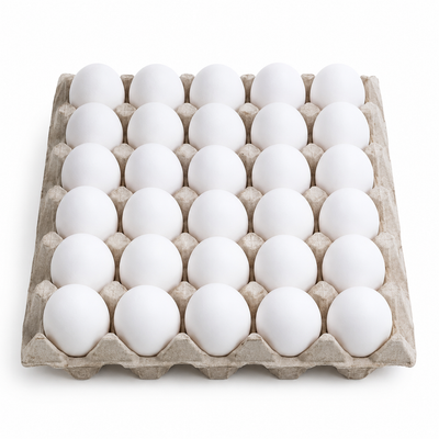 A carton holding 24 white eggs arranged in a grid on a plain white background.