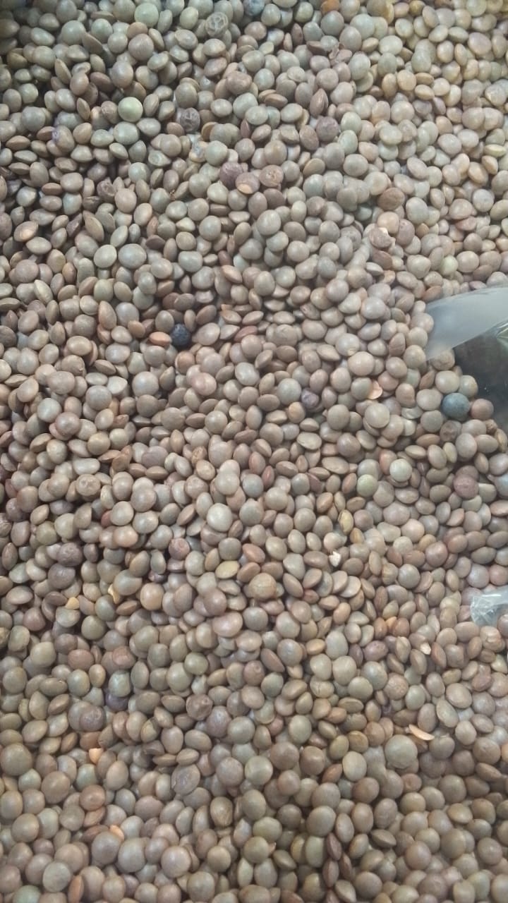 JB - Malka Masoor Ki Daal - Red Split Lentils - 1KG - ملکہ مسور کی دال