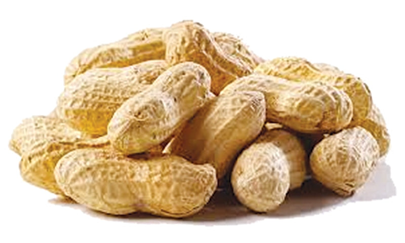 JB - Parchinaar - Peanuts - Unshelled - 1 KG - مونگفلی - Moongphali - Large