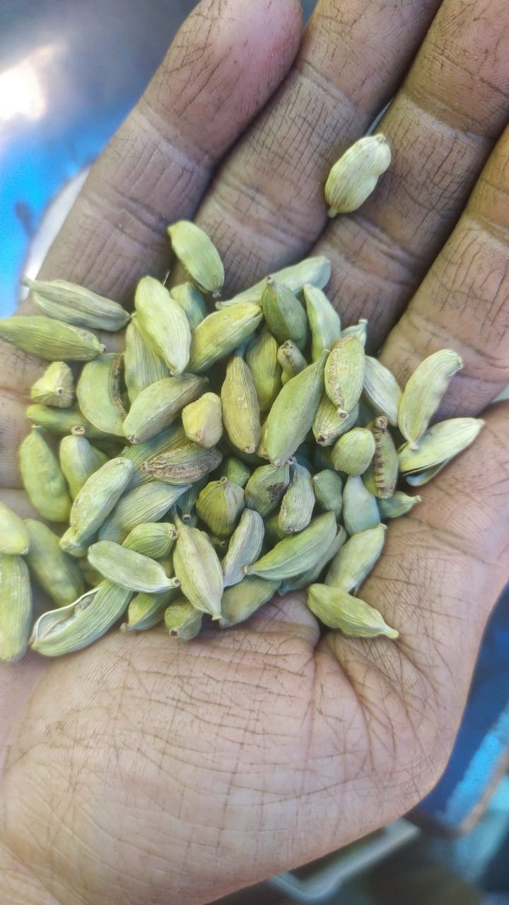 JB - Bari Elaichi - Cardamom - Whole - Sabut Elaichi - 1 KG - الائچی -