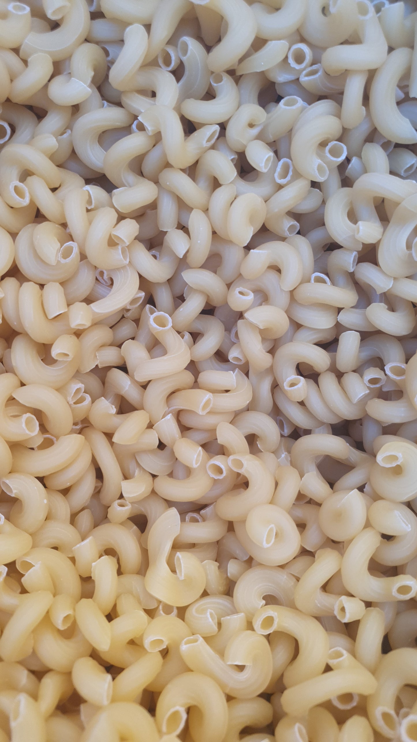 JB - Pasta - Elbows - Macaroni - پاستا