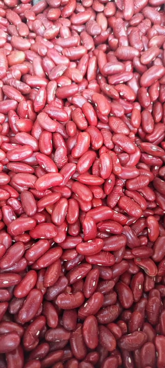 JB - Lal Lobia - Red Kidney Beans - لال لوبیا - KG 1 (1000 gm)