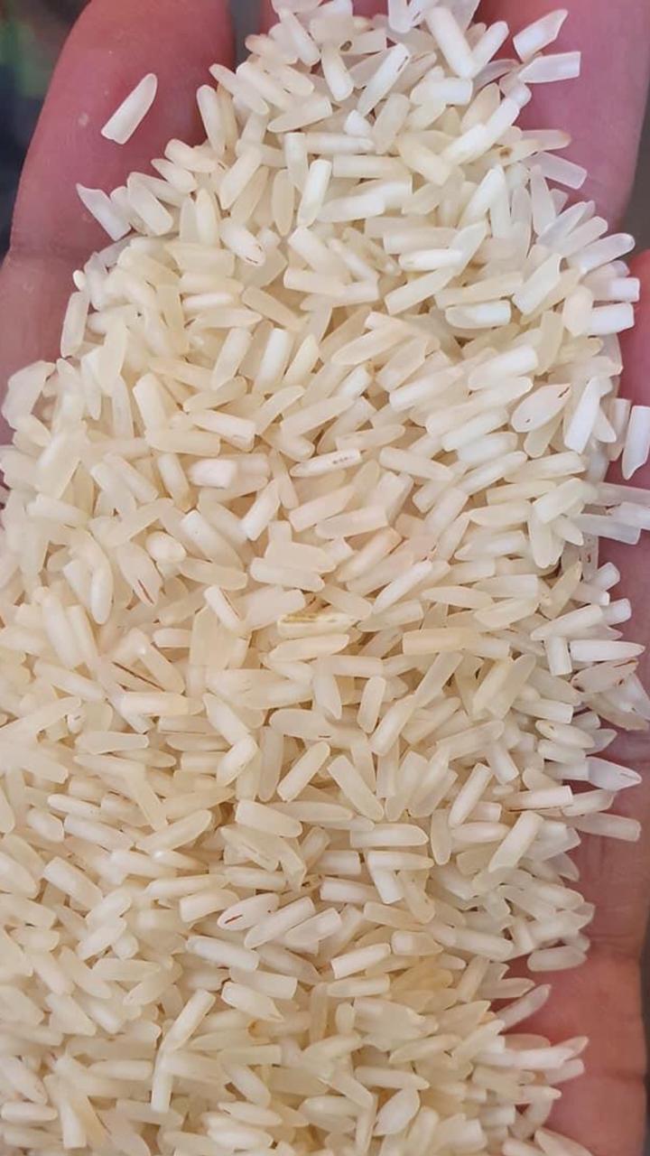 Kitchen King - 1121 - Steam - Ponia - Basmati Rice