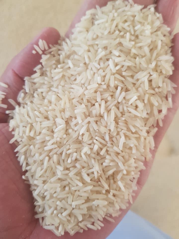 Kitchen King - 1121 - Steam - Ponia - Basmati Rice