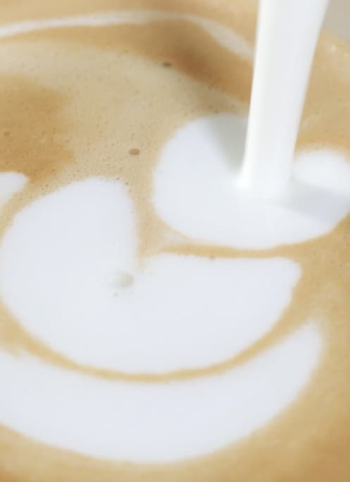 Nespresso - Aeroccino 4 - Milk Frother