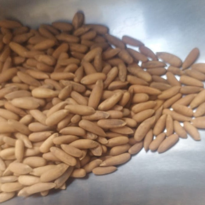 JB - Chilghoza - Pine Nuts - 1 KG - چلگوزا -