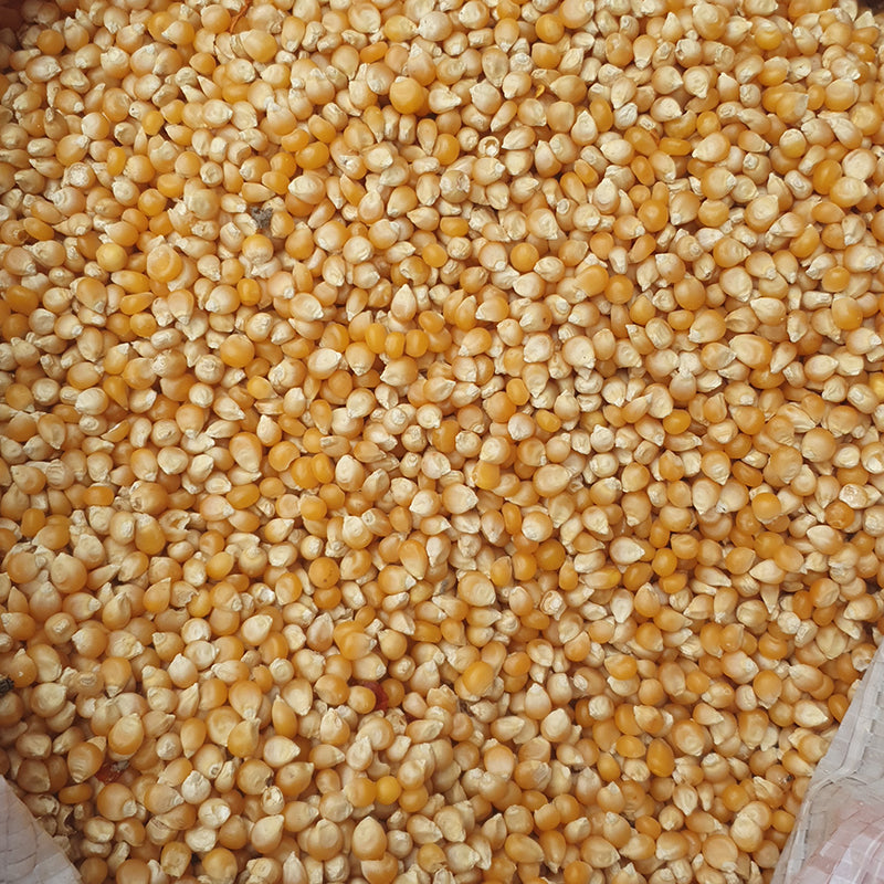 Nawras - Turkish - Popcorn (loose) - 1 KG