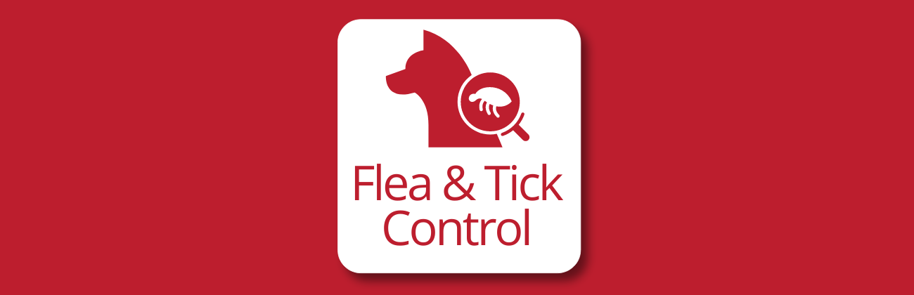 Flea & Tick Control