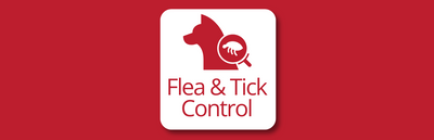 Flea & Tick Control