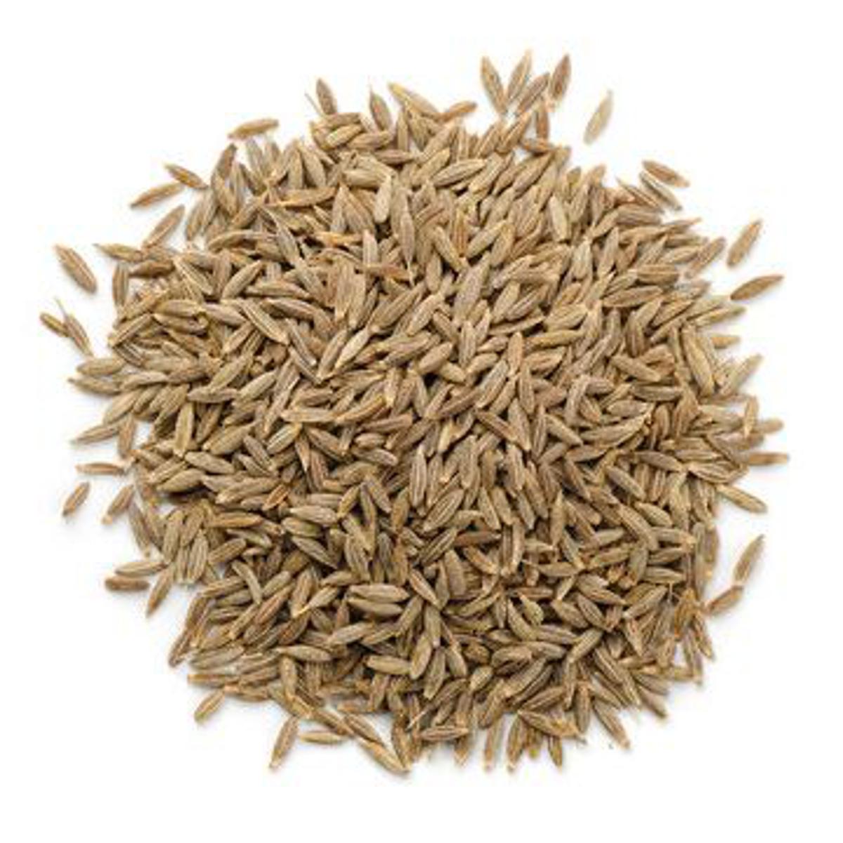 WHITE CUMIN (WHITE ZEERA) – Elham Foods WHITE CUMIN (WHITE ZEERA) – Elham Foods