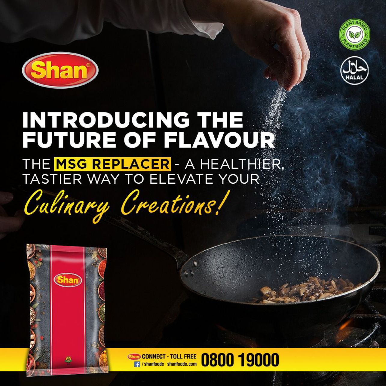 Shan Foods - Shan Specialists - MSG Replacer - 400g - Institutional Packs - 24 Packs