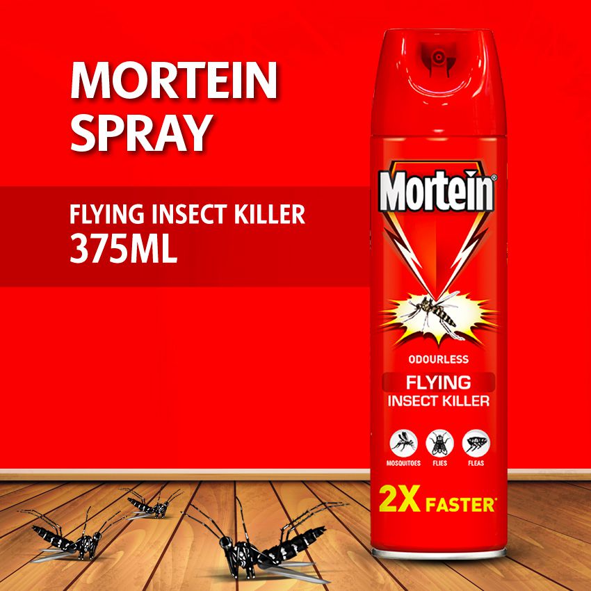 Mortein Flying Insect Killer Spray 2x375ml (Double Dhamaka)