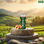 Brovaria - Peach Flavor - Malt - Non-Alcohol - 250 ML - 24 Cans