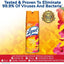 Lysol - Disinfectant Spray - Mango & Hibiscus Scent - 19Oz