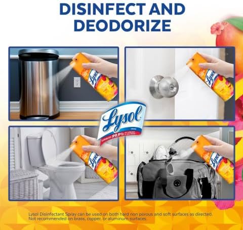 Lysol - Disinfectant Spray - Mango & Hibiscus Scent - 19Oz