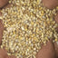 JB - Bajra - Pearl Millet - 50 KG - باجرہ