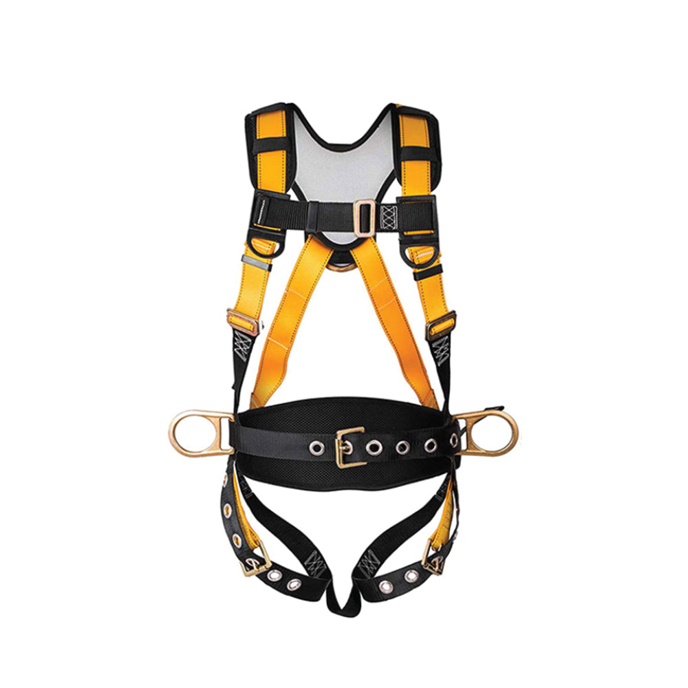 Full Body Harness 3 Points| Call For Price