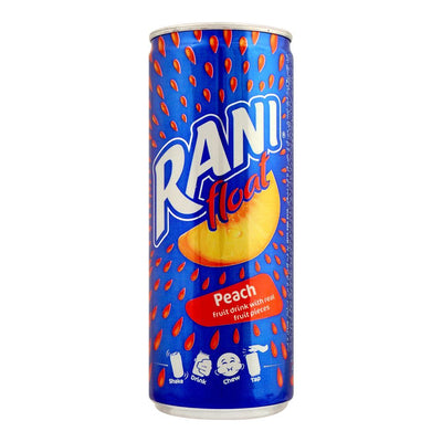Rani Float Fruit - Dubai - 240 ML (Pack of 24) - Peach Flavor