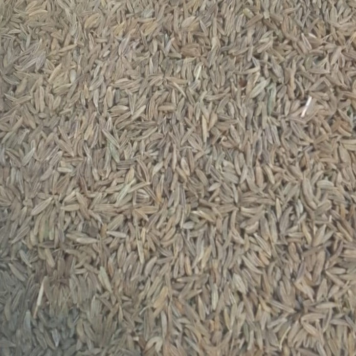 thumbnail image 2 of White Cumin Seeds (Safed Jeera) – 100% Natural & Pure, Organic – 120 Grams From India 2 of 6