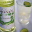 Monin - Cucumber Syrup - 1 Liter - Le Sirop De Monin