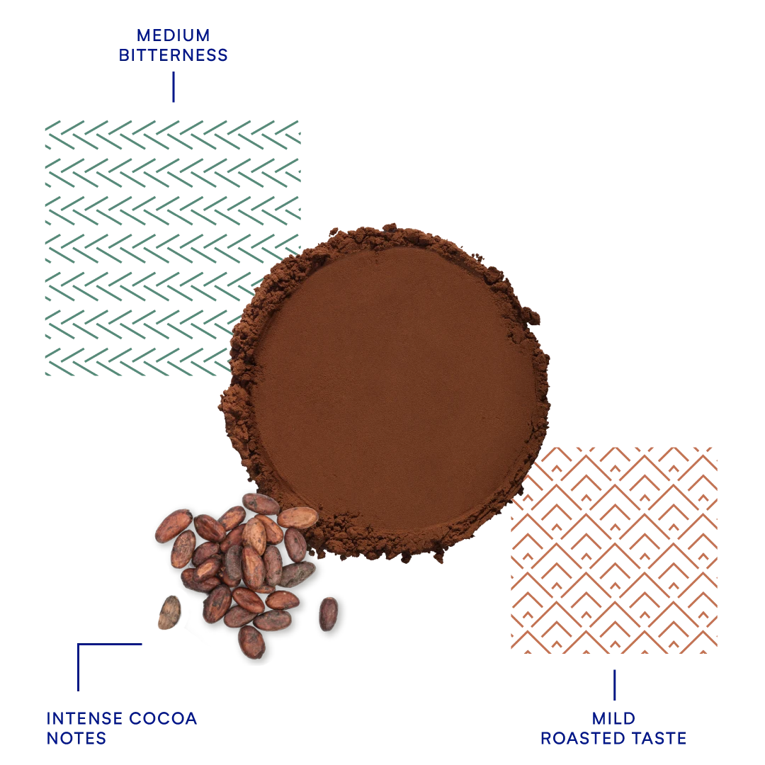 deZaan - 420DP11 - Dutched Cocoa Powder – 10–12% Cocoa Butter - 1 KG (Sample)