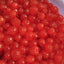 Frutanza - Glace Red Cherry Fruit Filling & Preserve - 10kg Bucket