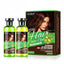 LICHEN Professional - HAIR COLOR GEL - DARK BROWN - 250 ml X 2