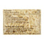 Home Fries - Home Fries Straight - Frozen Food - Straight Cut - 2.5kg - Bulk Economy Fries Pack