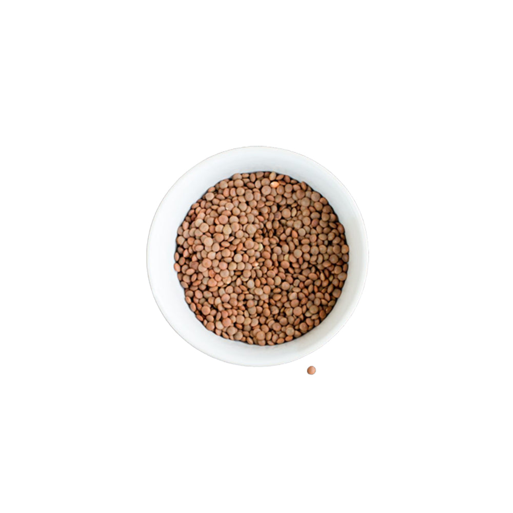 JB - Sabut Masoor Ki Daal - Khari Daal - Black / Brown Lentils - مسور کھڑی