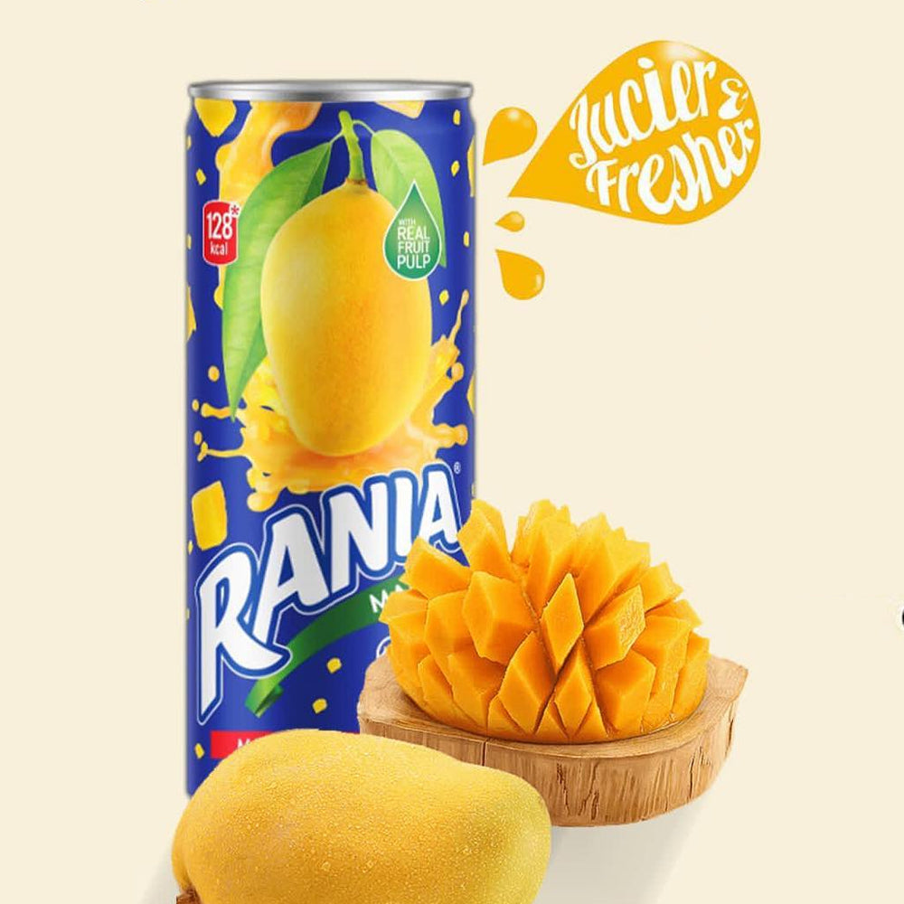 Rania Float Fruit - Pakistani - 240 ML (Pack of 24) - Peach, Mango, Orange Flavor