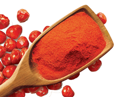 Shan Foods - Plain Spices - Red Chilli Powder (Ub) - 1 Kg - Institutional Packs