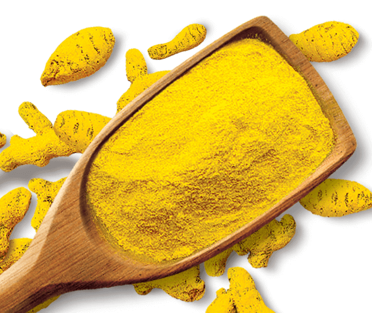 Shan Foods - Plain Spices - Haldi - Turmeric Powder - 1 Kg - Institutional Packs