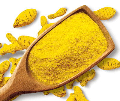 Shan Foods - Plain Spices - Turmeric Powder - 1 Kg - Institutional Packs