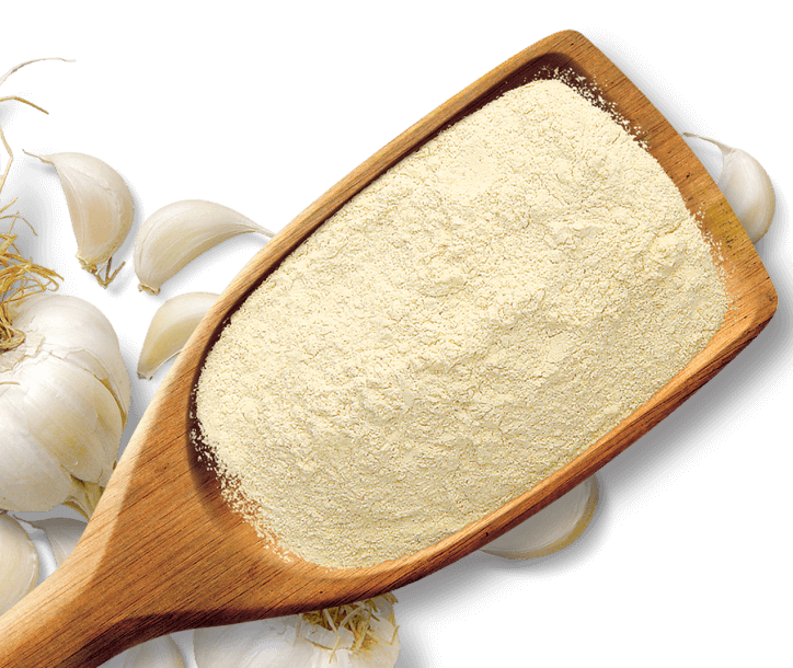 Shan Foods - Plain Spices - Garlic Powder - 1 Kg - Institutional Packs