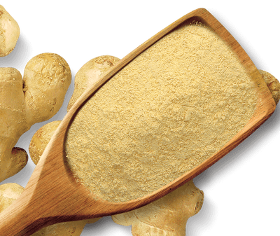 Shan Foods - Plain Spices - Ginger Powder - 800 G - Institutional Packs