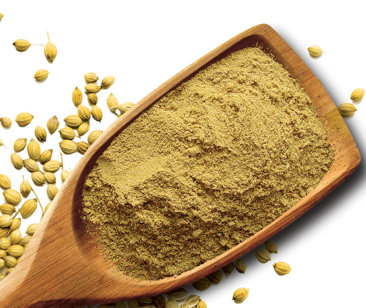 Shan Foods - Plain Spices - Coriander Powder - 1 Kg - Institutional Packs