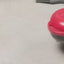 Nutricook - Specialty - Waffle Maker - NC-WM100R - Dessert Making - Red - 2 Years Warranty