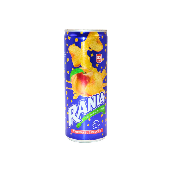 Rania Float Fruit - Pakistani - 240 ML (Pack of 24) - Peach, Mango, Orange Flavor