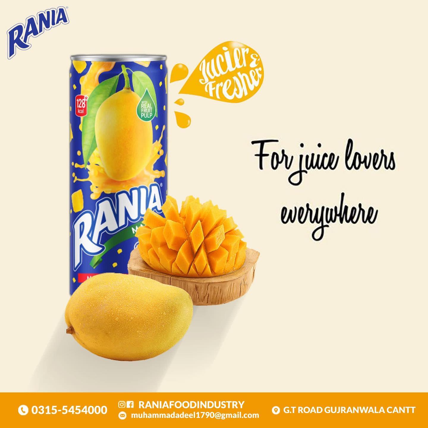 Rania Float Fruit - Pakistani - 240 ML (Pack of 24) - Peach, Mango, Orange Flavor