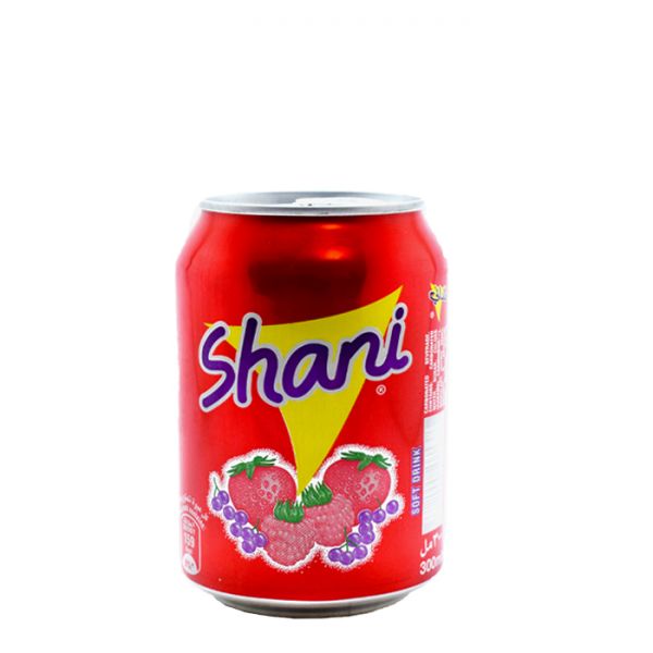 Shani - Soft Drink - Fruit Flavored Drink - Tin - 300 ML