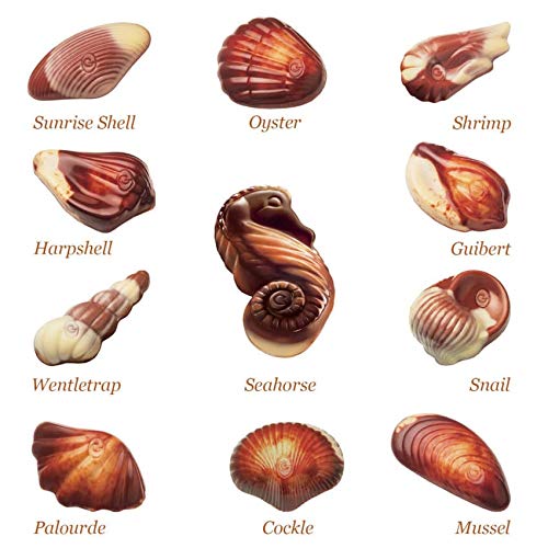 Guylian - Seashells - Boxed Chocolates - 250G | Jodiabaazar.com ...