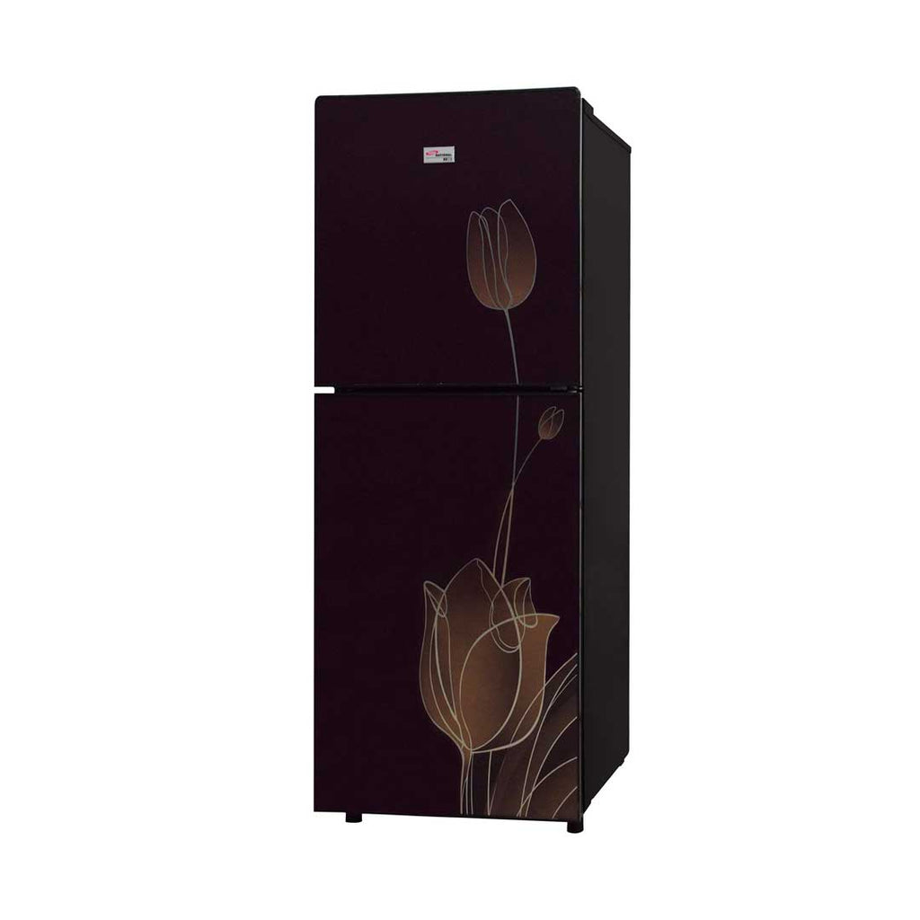 Gaba National (GNE) - GNR-1711 G.D Double Door Refrigerator