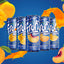 Fruiti - Mango, Apricot, Peach & Orange - Fruit Drink - 250ml - 24 Cans Per Carton