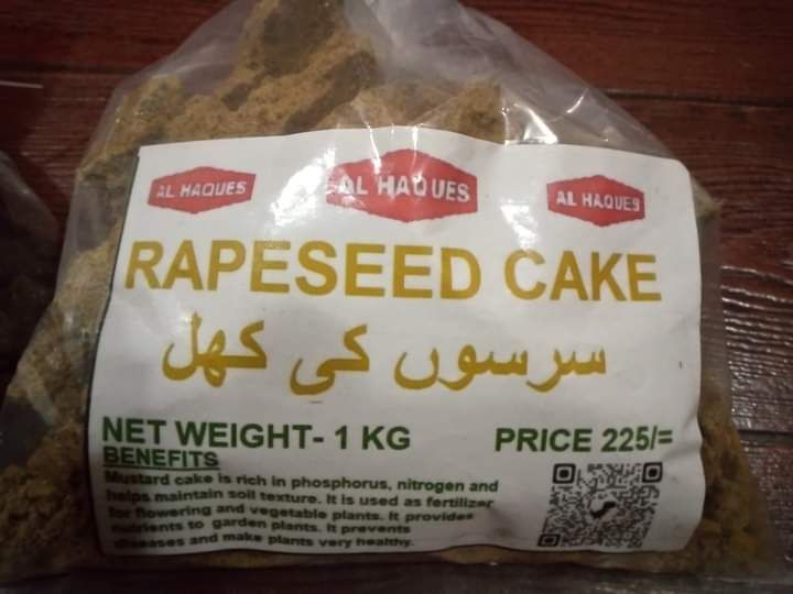 Al Haques - Mustard Cake 1Kg ????? ?? ???