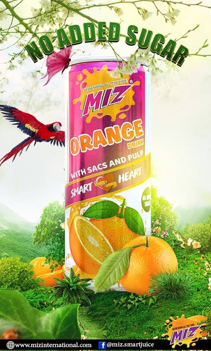 MIZ Fruit Drink - With Sacs and Pulp - Orange - 250mlx24