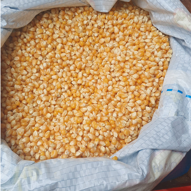 Agricola - Premium Brazilian Popcorn (loose) - 1 KG